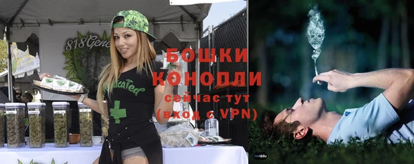 ешки Володарск