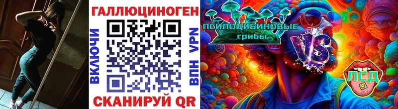 Псилоцибиновые грибы Cubensis  Новошахтинск 