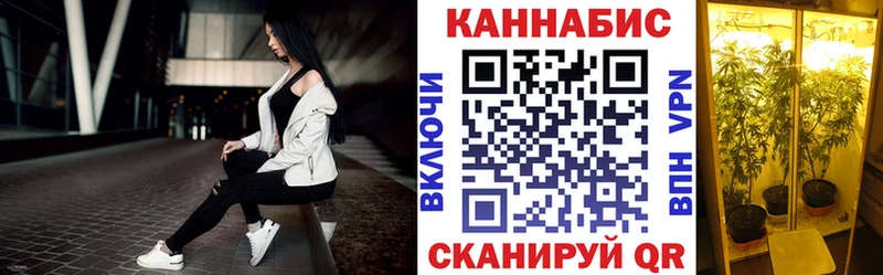 Конопля гибрид  Новошахтинск 